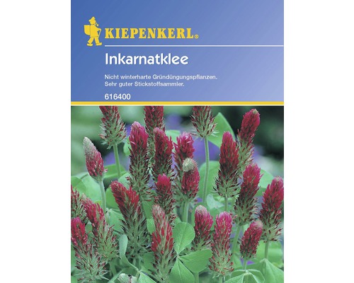 Inkarnatklee Kiepenkerl 75 g