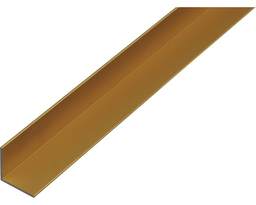 Winkelprofil Alu gold eloxiert 10x10x1 mm, 1 m