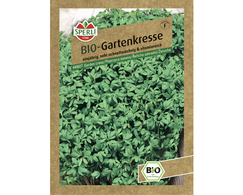 Kresse Gartenkresse Sperli Bio Kräutersamen