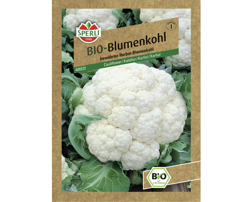 Blumenkohl Sperli Bio Gemüsesamen