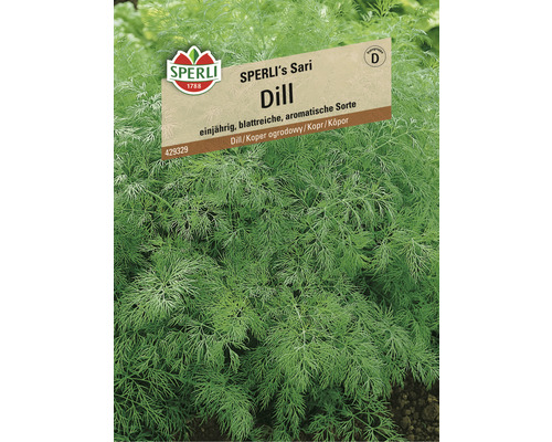 Dill 'SPERLI's Sari' Sperli Kräutersamen