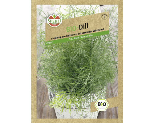 Dill Sperli Bio Kräutersamen