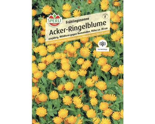 Acker-Ringelblume Frühlingssonne Sperli Samenfestes Saatgut Blumensamen