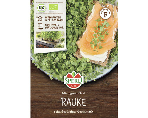 Rucola Sperli Grünsprossen