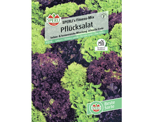 Kopfsalat Sperli Gemüsesamen Salatsamen