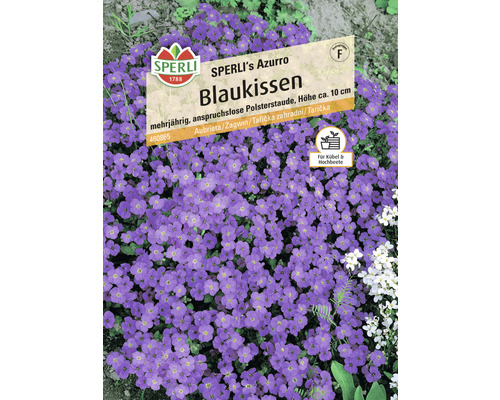 Blaukissen Sperli Blumensamen