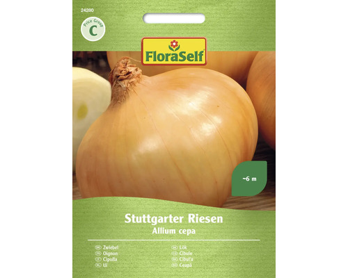 Zwiebel Stuttgarter Riesen FloraSelf samenfestes Saatgut Gemüsesamen