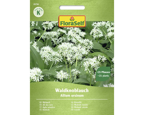 Bärlauch Waldknoblauch FloraSelf Samenfestes Saatgut Kräutersamen