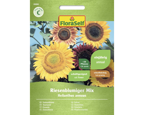 Sonnenblume Riesenblumige Mischung FloraSelf Samenfestes Saatgut Blumensamen