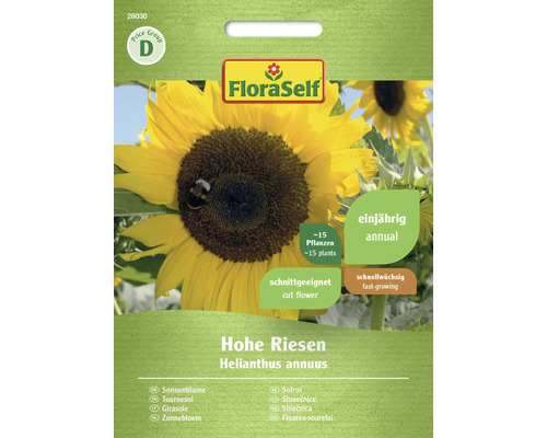 Sonnenblume Hohe Riesen FloraSelf Samenfestes Saatgut Blumensamen