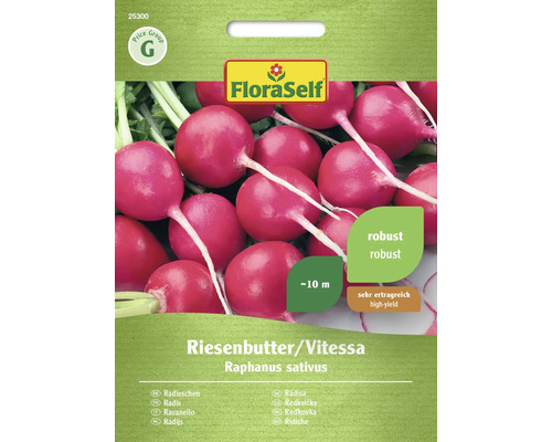 Radieschen Riesenbutter/Vitessa FloraSelf Samenfestes Saatgut Gemüsesamen