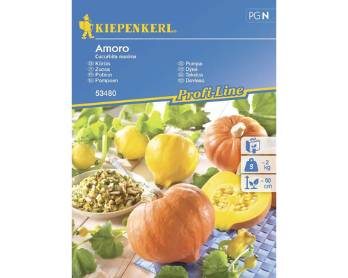 Kürbis Amoro Kiepenkerl Hybrid-Saatgut Gemüsesamen