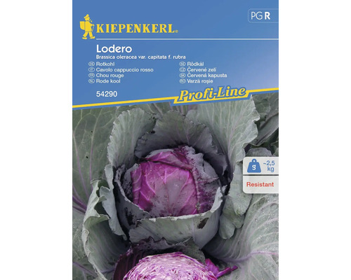 Rotkohl Kiepenkerl Gemüsesamen