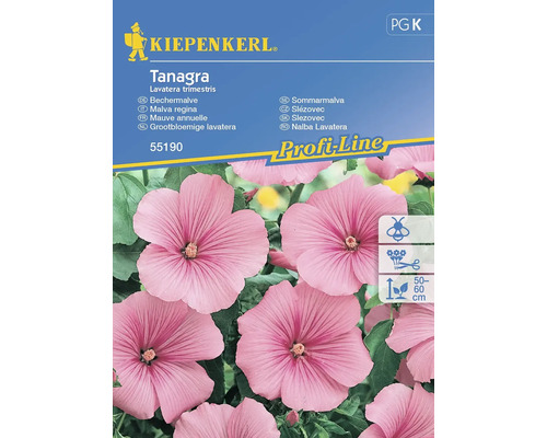 Bechermalve Kiepenkerl Blumensamen