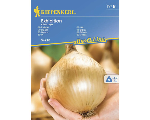 Zwiebel Exhibition Kiepenkerl Samenfestes Saatgut Gemüsesamen