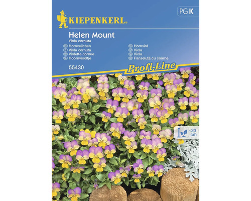 Hornveilchen Kiepenkerl Blumensamen