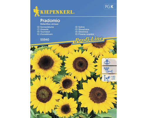 Sonnenblume Pradomio Kiepenkerl Samenfestes Saatgut Blumensamen