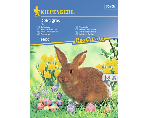 Ostergras Kiepenkerl Ostergrassamen Dekogras