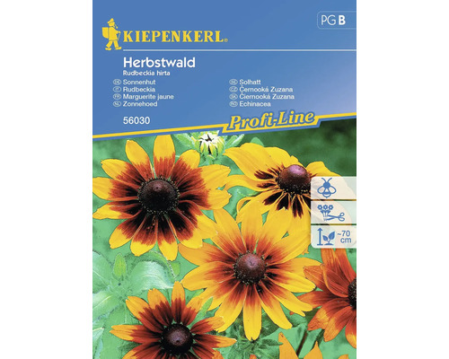 Sonnenhut Kiepenkerl Blumensamen