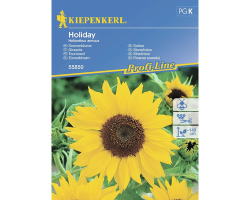 Sonnenblume Holiday Kiepenkerl Samenfestes Saatgut Blumensamen