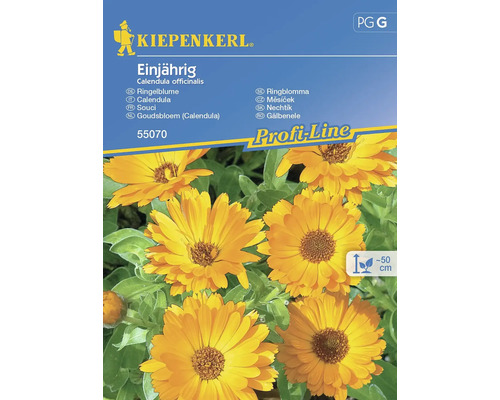 Ringelblume Kiepenkerl Kräutersamen