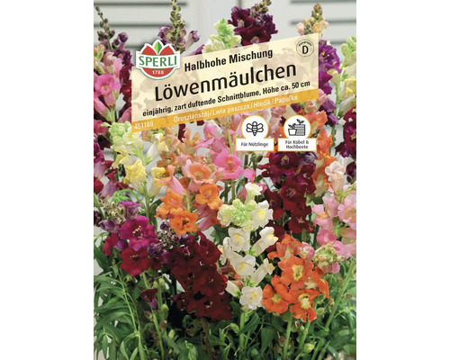 Löwenmäulchen Halbhohe Mischung Sperli Samenfestes Saatgut Blumensamen