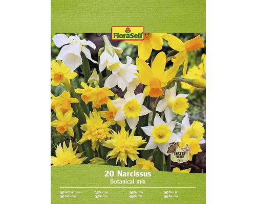 Blumenzwiebel Narzisse FloraSelf 'Botanical Mix' 20 Stück