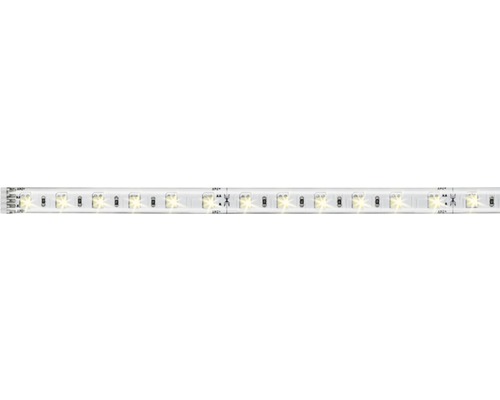 MaxLED 500 Strip 1 m 550 lm 3000- 6500 K Tunable White 60 LED´s beschichtet Erweiterung zu Basisset 24V, Smart Home-fähig nach Erweiterung