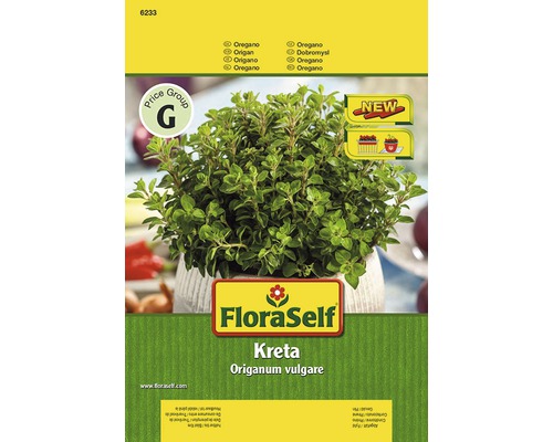 Oregano 'Kreta' FloraSelf samenfestes Saatgut Kräutersamen