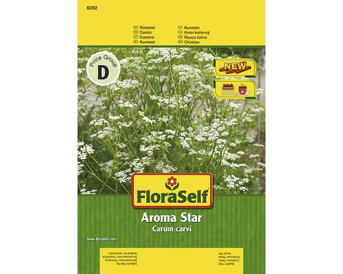 Kümmel 'Aroma Star' FloraSelf samenfestes Saatgut