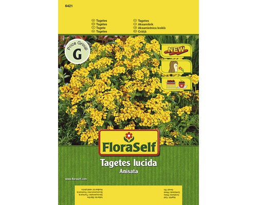 Tagetes 'Anisata' FloraSelf samenfestes Saatgut Blumensamen