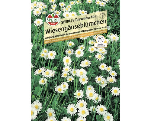 Wiesengänseblümchen Sperli Blumensamen