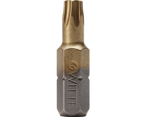 Bit Titan 2er Pack Witte ¼" 25 mm Torx T 10